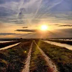 Ficocle Hotel Cervia