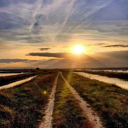 Ficocle Hotel Cervia