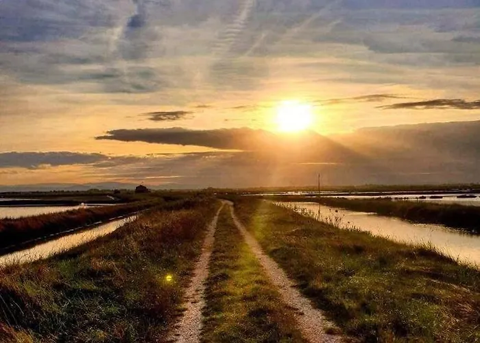 Ficocle Hotel Cervia